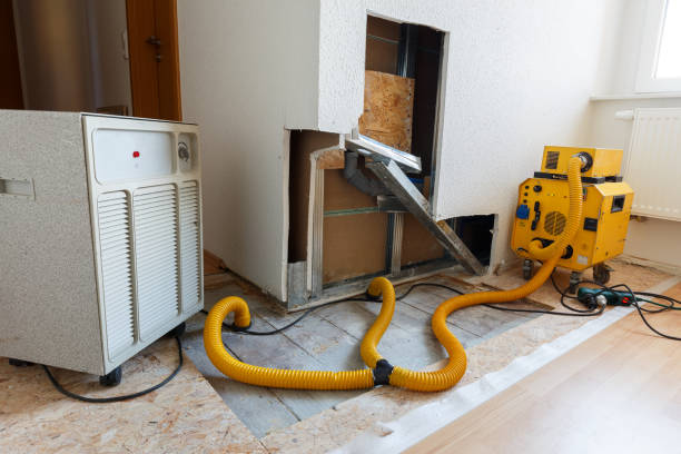 Best Environmental Consulting for Mold Prevention  in Norristown, PA